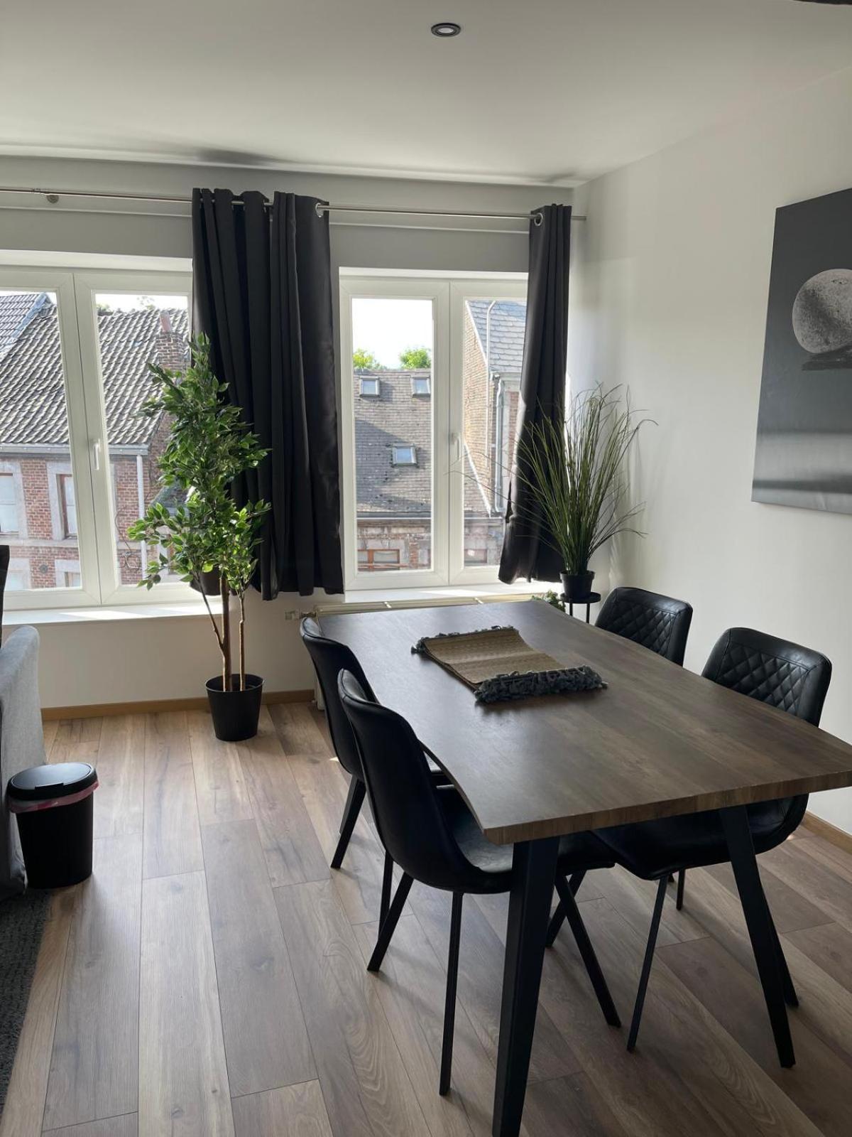 Appartement Grand Duplex Renove
