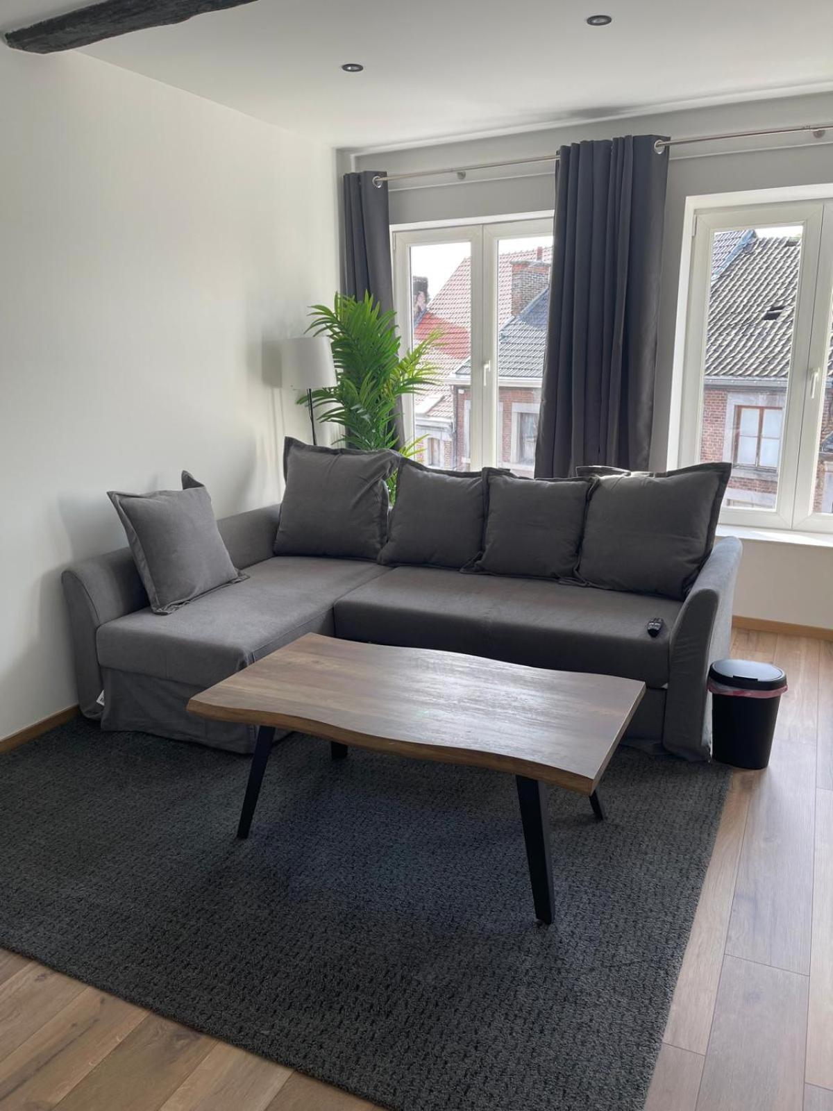 Appartement Grand Duplex Renove Huy